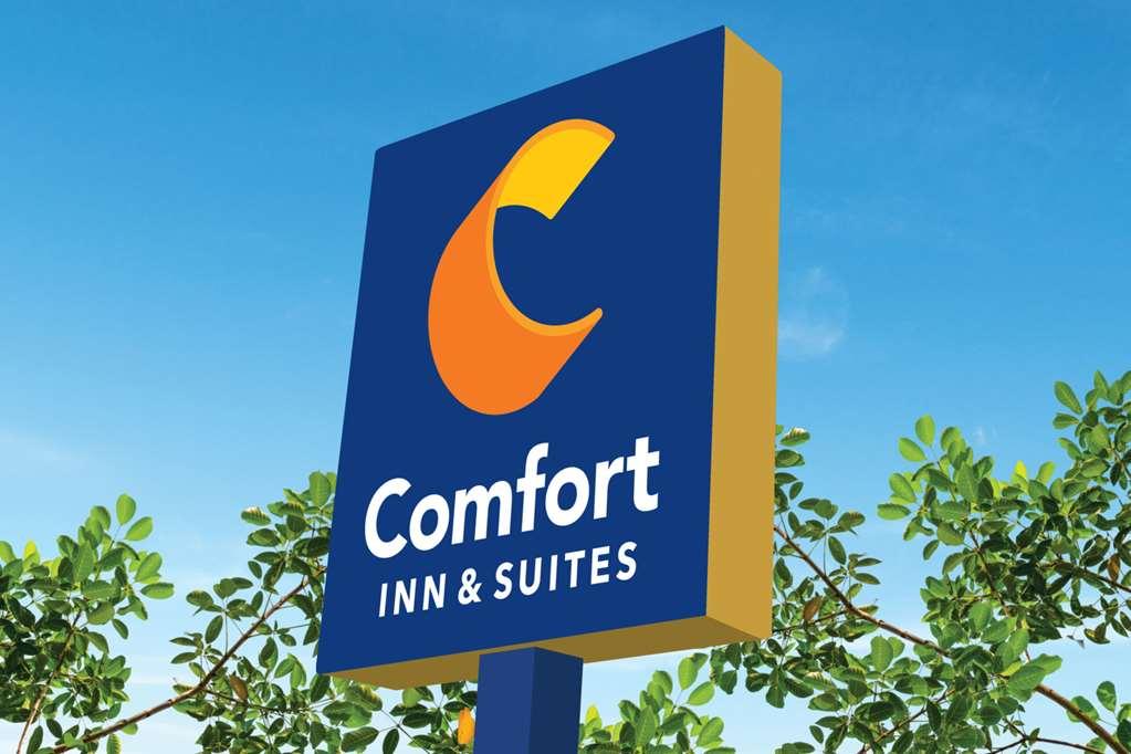 Comfort Inn & Suites Susanville Bagian luar foto